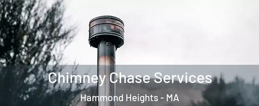 Chimney Chase Services Hammond Heights - MA