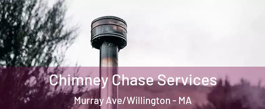 Chimney Chase Services Murray Ave/Willington - MA