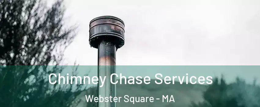 Chimney Chase Services Webster Square - MA