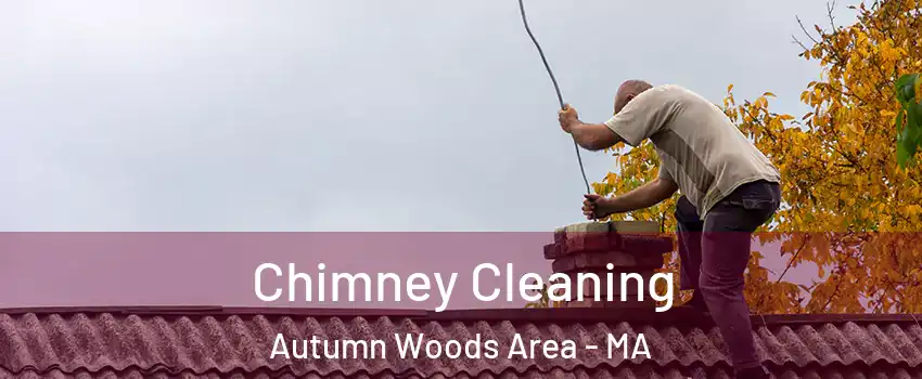 Chimney Cleaning Autumn Woods Area - MA