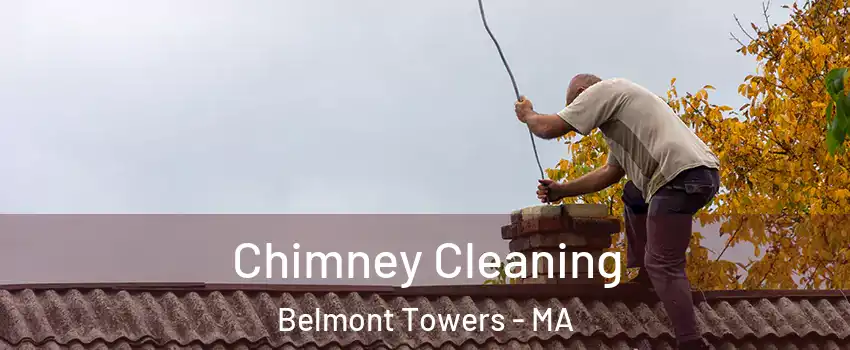 Chimney Cleaning Belmont Towers - MA