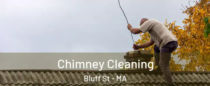 Chimney Cleaning Bluff St - MA