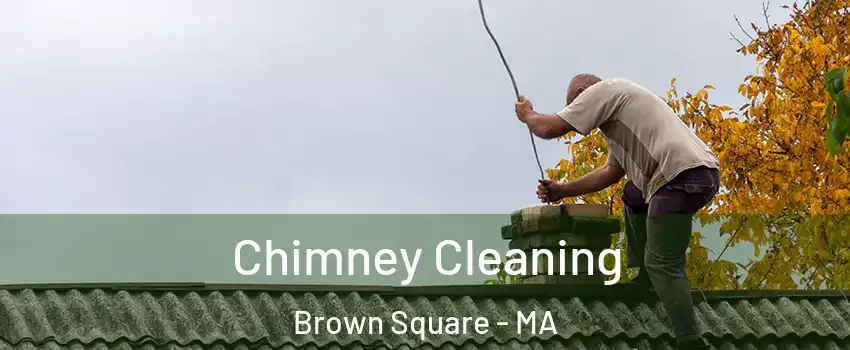 Chimney Cleaning Brown Square - MA