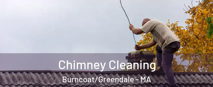 Chimney Cleaning Burncoat/Greendale - MA