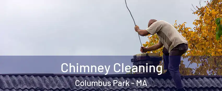 Chimney Cleaning Columbus Park - MA