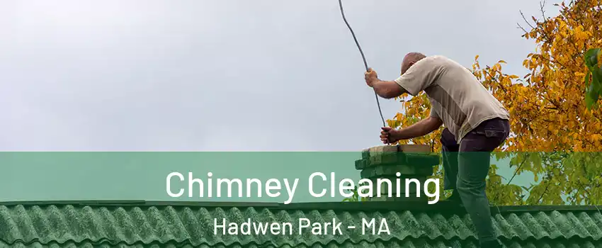 Chimney Cleaning Hadwen Park - MA