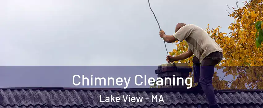 Chimney Cleaning Lake View - MA