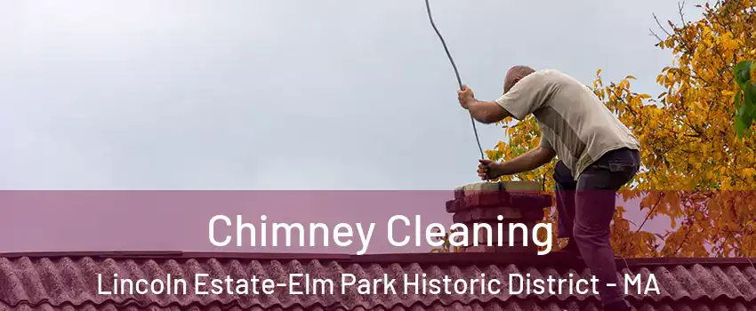 Chimney Cleaning Lincoln Estate-Elm Park Historic District - MA