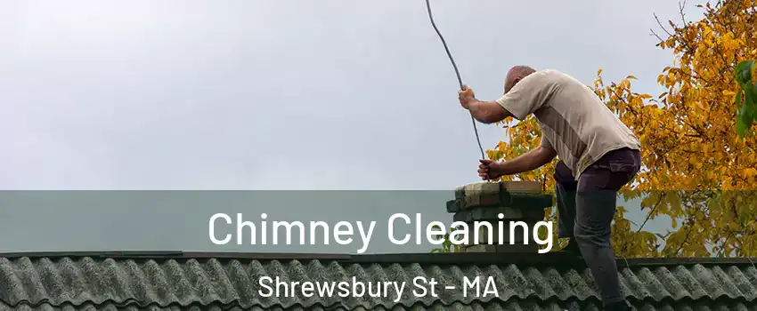 Chimney Cleaning Shrewsbury St - MA