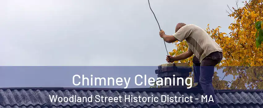 Chimney Cleaning Woodland Street Historic District - MA