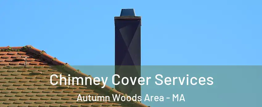 Chimney Cover Services Autumn Woods Area - MA