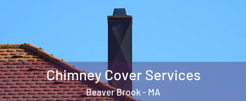 Chimney Cover Services Beaver Brook - MA