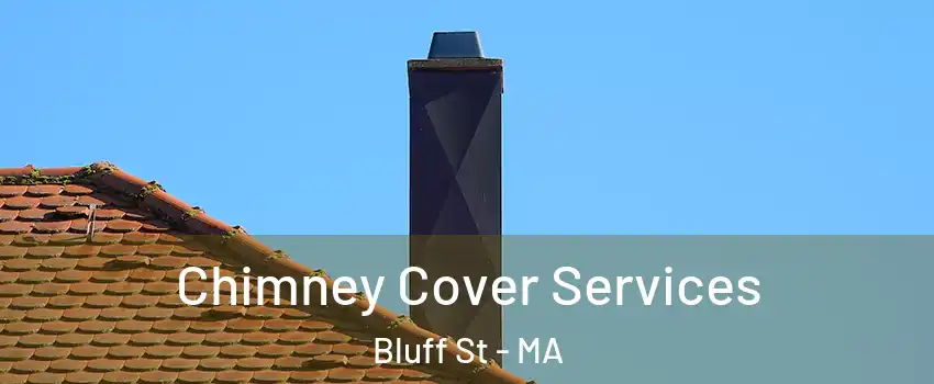 Chimney Cover Services Bluff St - MA