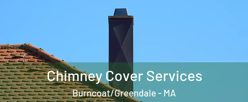 Chimney Cover Services Burncoat/Greendale - MA