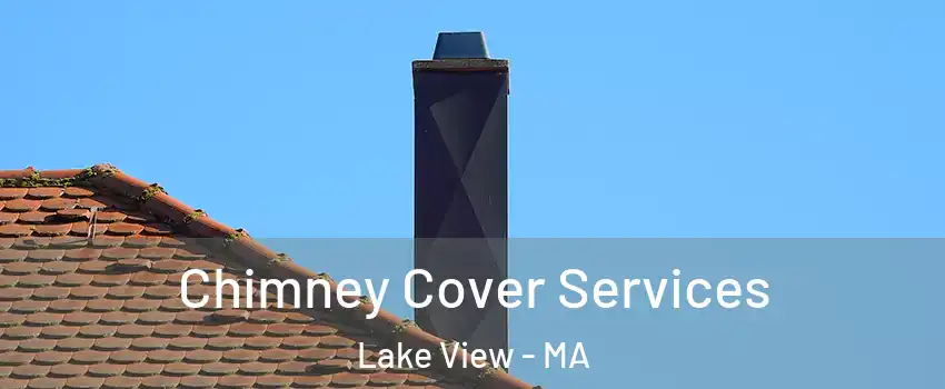 Chimney Cover Services Lake View - MA