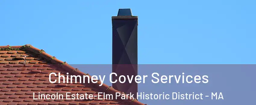 Chimney Cover Services Lincoln Estate-Elm Park Historic District - MA