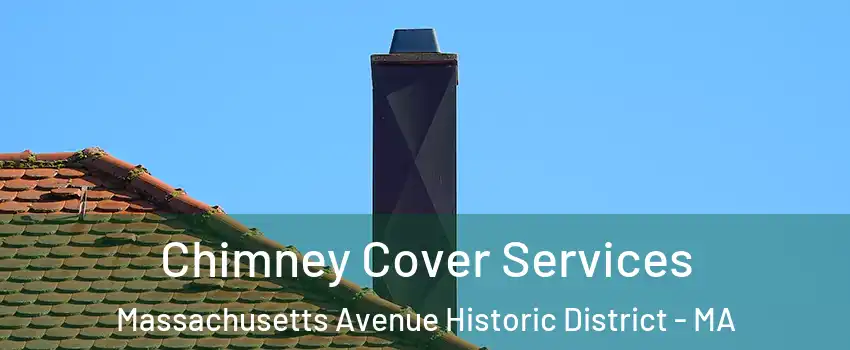 Chimney Cover Services Massachusetts Avenue Historic District - MA