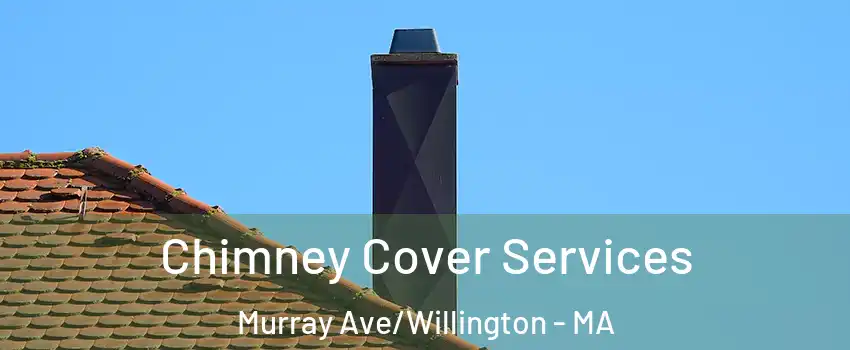 Chimney Cover Services Murray Ave/Willington - MA