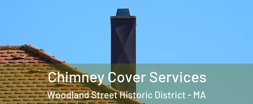 Chimney Cover Services Woodland Street Historic District - MA