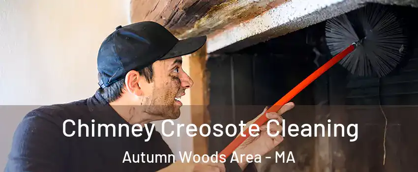 Chimney Creosote Cleaning Autumn Woods Area - MA