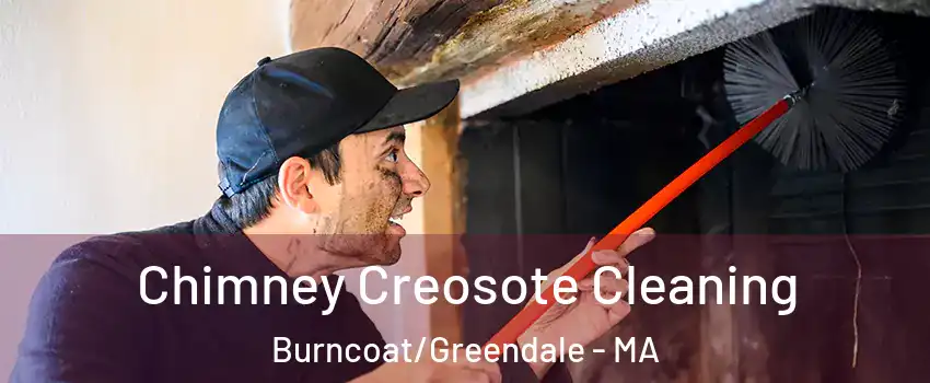 Chimney Creosote Cleaning Burncoat/Greendale - MA