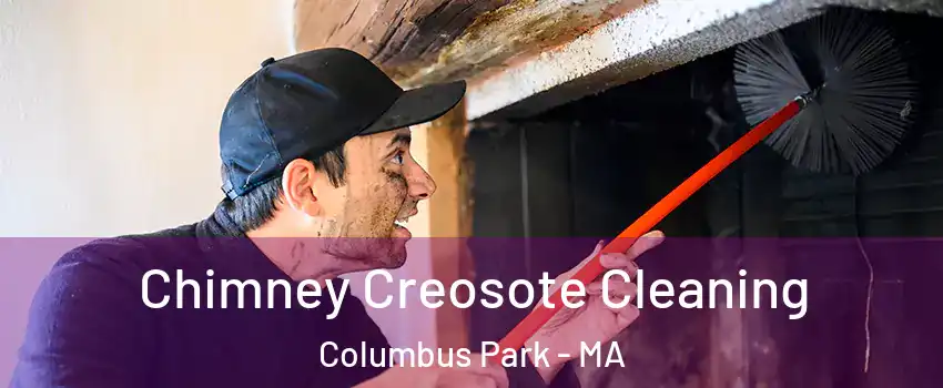 Chimney Creosote Cleaning Columbus Park - MA