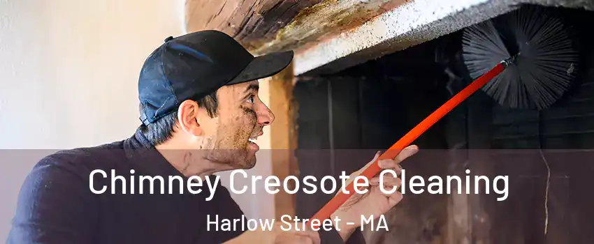 Chimney Creosote Cleaning Harlow Street - MA