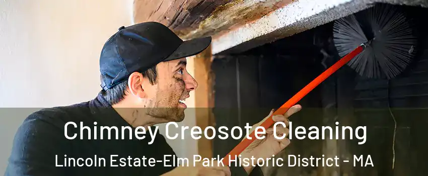 Chimney Creosote Cleaning Lincoln Estate-Elm Park Historic District - MA