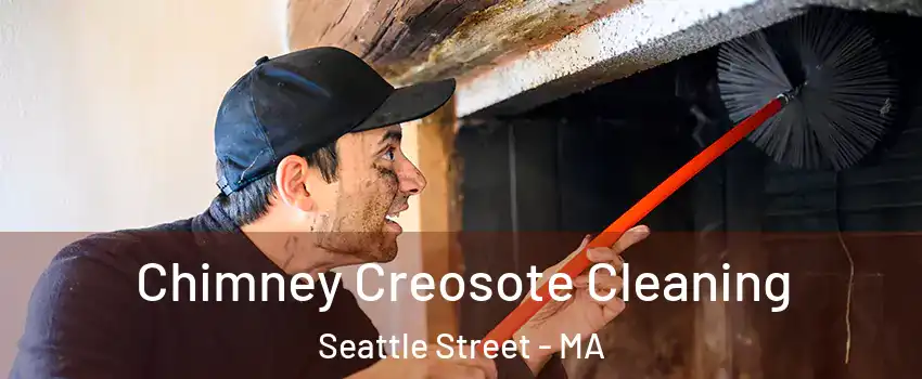 Chimney Creosote Cleaning Seattle Street - MA