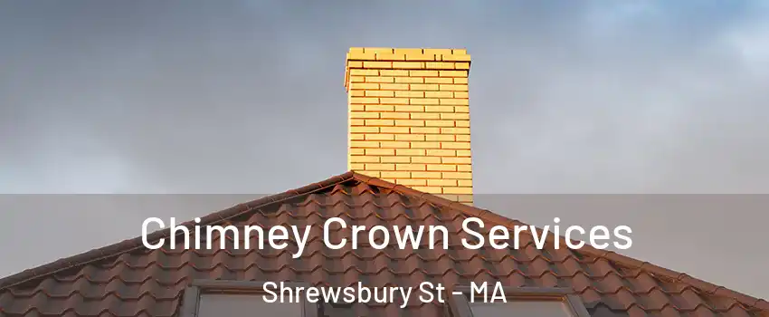 Chimney Crown Services Shrewsbury St - MA