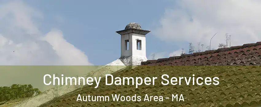 Chimney Damper Services Autumn Woods Area - MA