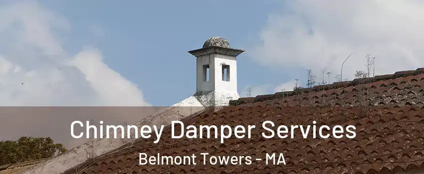 Chimney Damper Services Belmont Towers - MA