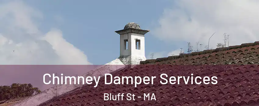 Chimney Damper Services Bluff St - MA