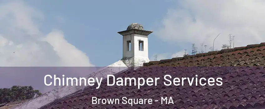 Chimney Damper Services Brown Square - MA