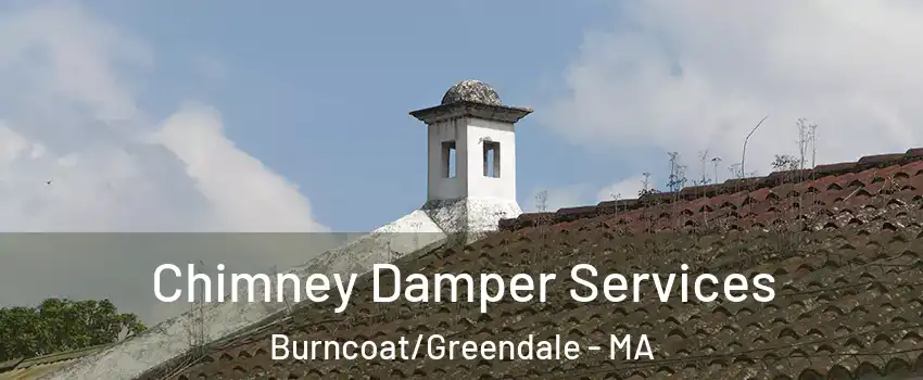 Chimney Damper Services Burncoat/Greendale - MA