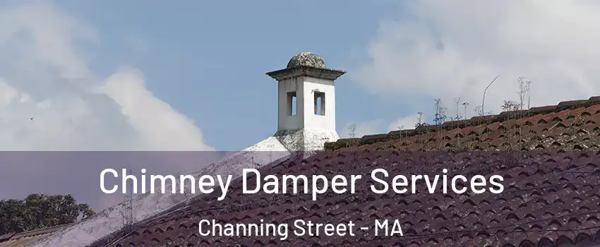 Chimney Damper Services Channing Street - MA