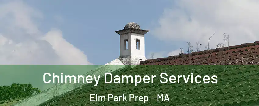 Chimney Damper Services Elm Park Prep - MA