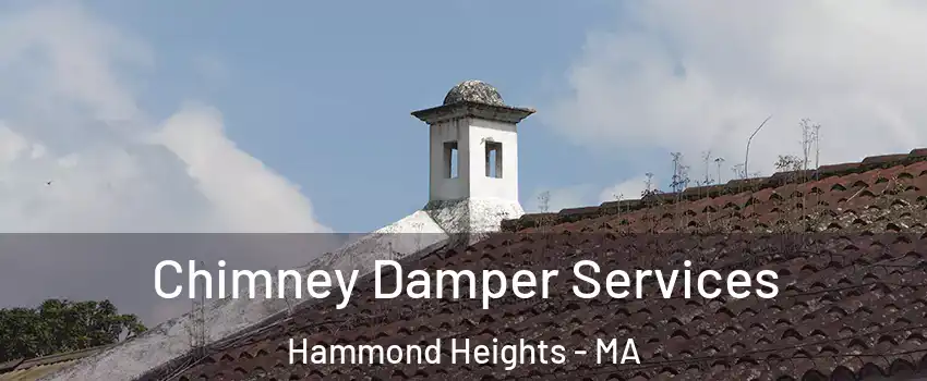 Chimney Damper Services Hammond Heights - MA