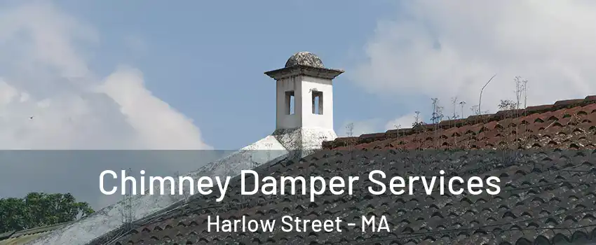 Chimney Damper Services Harlow Street - MA