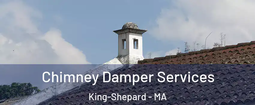 Chimney Damper Services King-Shepard - MA