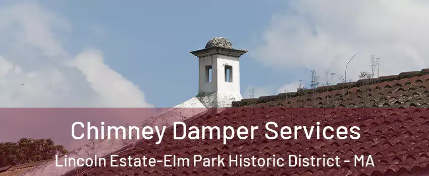 Chimney Damper Services Lincoln Estate-Elm Park Historic District - MA