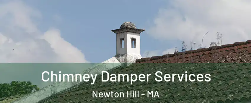 Chimney Damper Services Newton Hill - MA