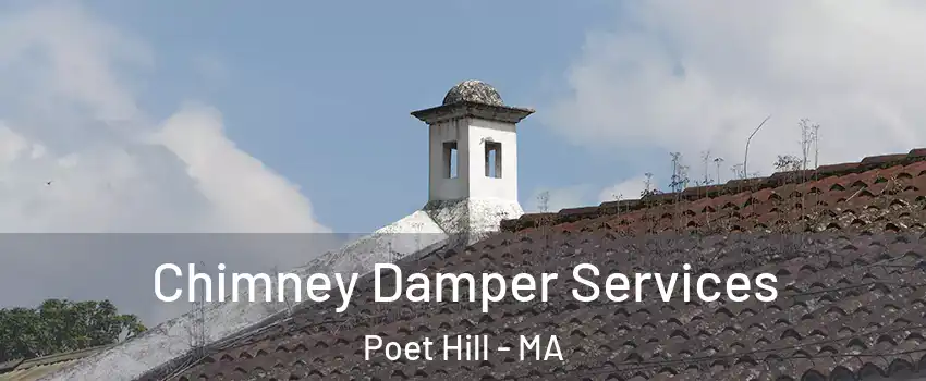 Chimney Damper Services Poet Hill - MA