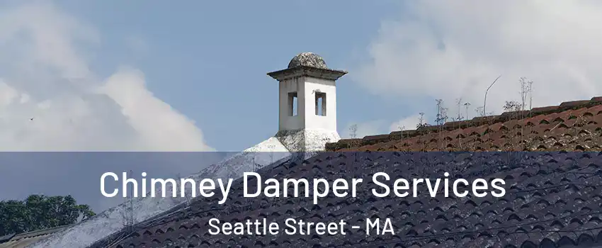 Chimney Damper Services Seattle Street - MA