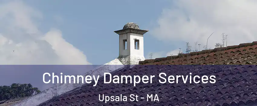 Chimney Damper Services Upsala St - MA