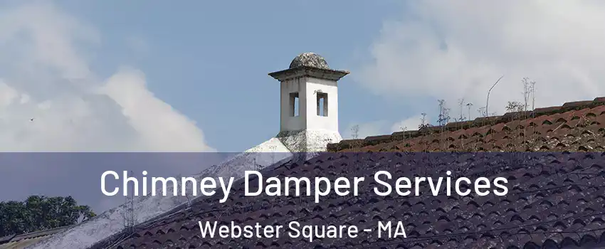 Chimney Damper Services Webster Square - MA