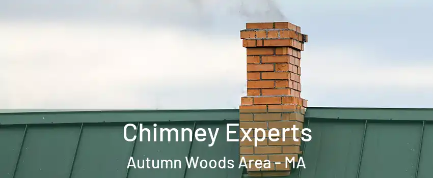 Chimney Experts Autumn Woods Area - MA