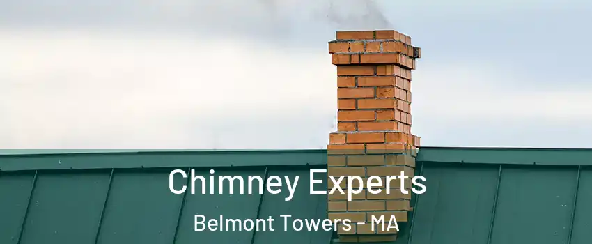 Chimney Experts Belmont Towers - MA