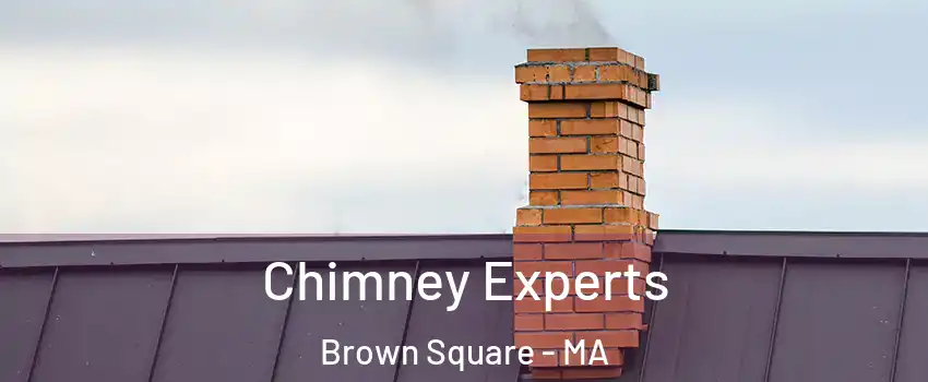 Chimney Experts Brown Square - MA