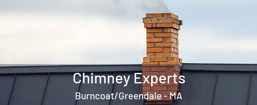 Chimney Experts Burncoat/Greendale - MA